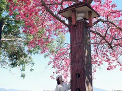 -风云岭森林公园