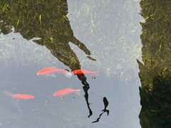 -兰亭风景区