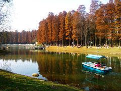 android_upload_pic-解放公园