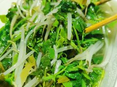 炒苦刺-皮蛋弟砂锅店(总店)