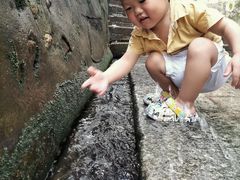 -白沙古井
