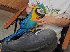 -观桥阁(锦溪店)