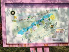 -高东镇樱花园