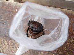 -金盆阿嬷香菇茶叶蛋(玄光店)