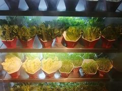 -芭菲盛宴·环球美食(北城国际店)