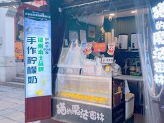 -猫的魔法密林(衣裳街店)