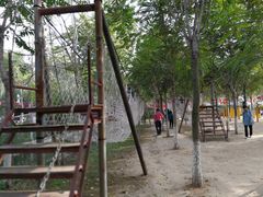 -草根堂农场