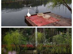 -黄陂区野村谷景区