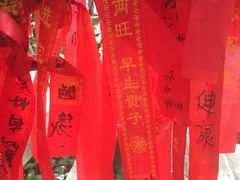 -小洲村