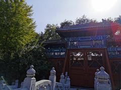 -北京市府学胡同小学