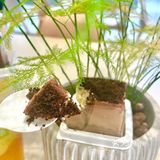 奈雪7周年生日🎂｜超多新品等你来品尝