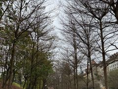 -松山湖风景区松湖烟雨