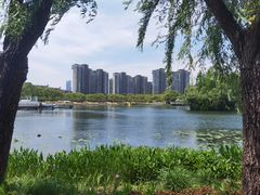 -新江湾城公园