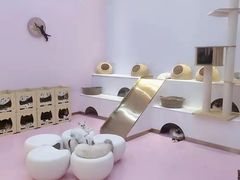 -爪爪喵星球·猫舍(前海卓越店)
