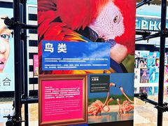 -BHG Mall(顺义店)