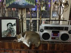 -爵士花园音乐酒吧餐厅