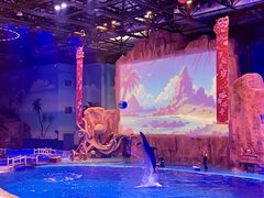 -华夏文旅海洋公园