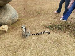 -泉州海丝野生动物世界