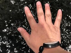 -弘安丽水温泉酒店