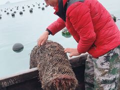 -兴旺渔家