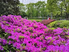 -蠡湖大桥公园