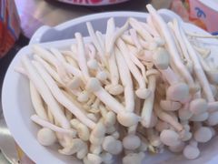 -龍歌自助小火锅(李沧顺和汇店)