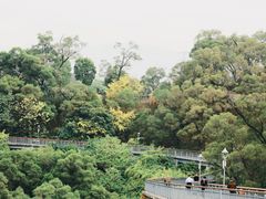 -金鸡山公园