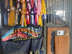 -北京群众马术培训基地