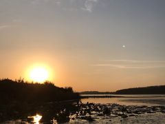 -丁香湖公园