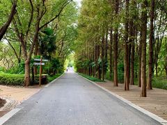 -同里国家湿地公园