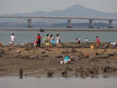 -海堤纪念公园