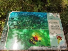 -海口火山口国家地质公园