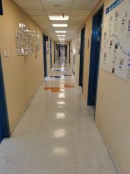 -杭州贝瑞斯美华妇儿医院·早孕·产检·儿科