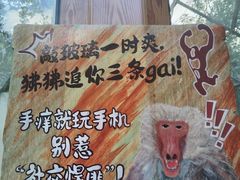 -呀诺达热带雨林