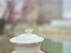 -望江楼公园