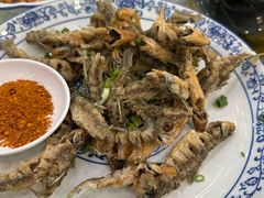 -高坎一品甲鱼庄(两河店)