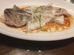 -大鸽饭(马王堆店)