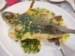 葱油飞鱼-岭南海晏楼(东晓南店)