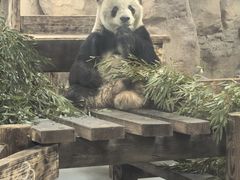 -无锡动物园·太湖欢乐园