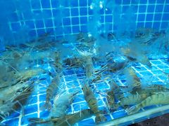 -吉源大排档·鱼生·海鲜(烧烤彩印厂店)