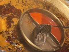 罗宋汤-哥老官重庆美蛙鱼头(西湖银泰十一哥店)