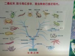 -上海昆虫博物馆