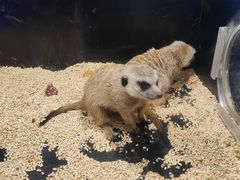 -太平洋海底世界