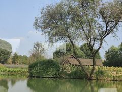 -西溪国家湿地公园