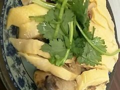 -九斤黄三黄鸡专卖店