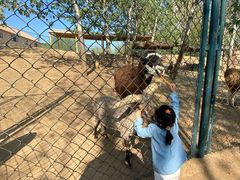 -大连森林动物园