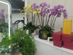 -臻艾Hair Salon