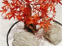 -火宫殿·湘菜小吃·商务宴请·生日聚会(东塘店)