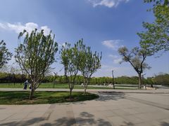 -北坞公园