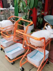-小蜜蜂农场(凯德七宝购物广场店)